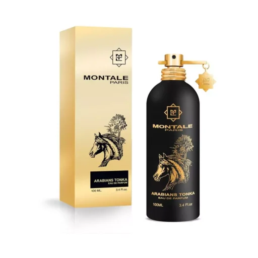 Montale Arabians Tonka - Image 2