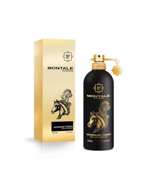 Montale Arabians Tonka - Image 2