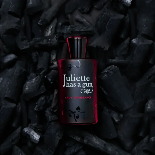 Juliette Has A Gun Lady Vengeance - Image 2