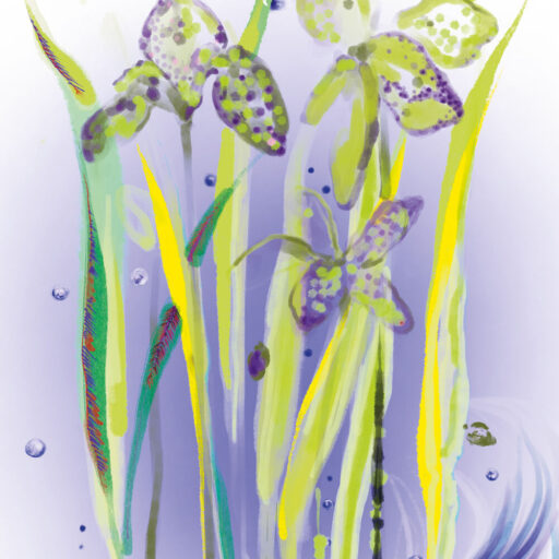 Sisley Paris L'Eau Rêvée D'Alma - Image 2