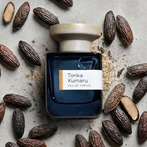 Atelier Materi Tonka Kumaru